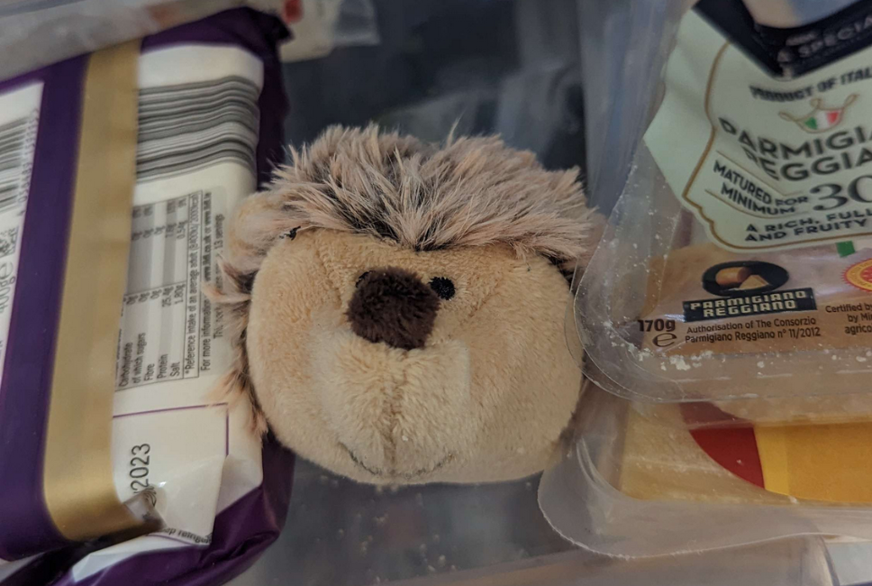 static/img/Plushies/FRIDGE.png