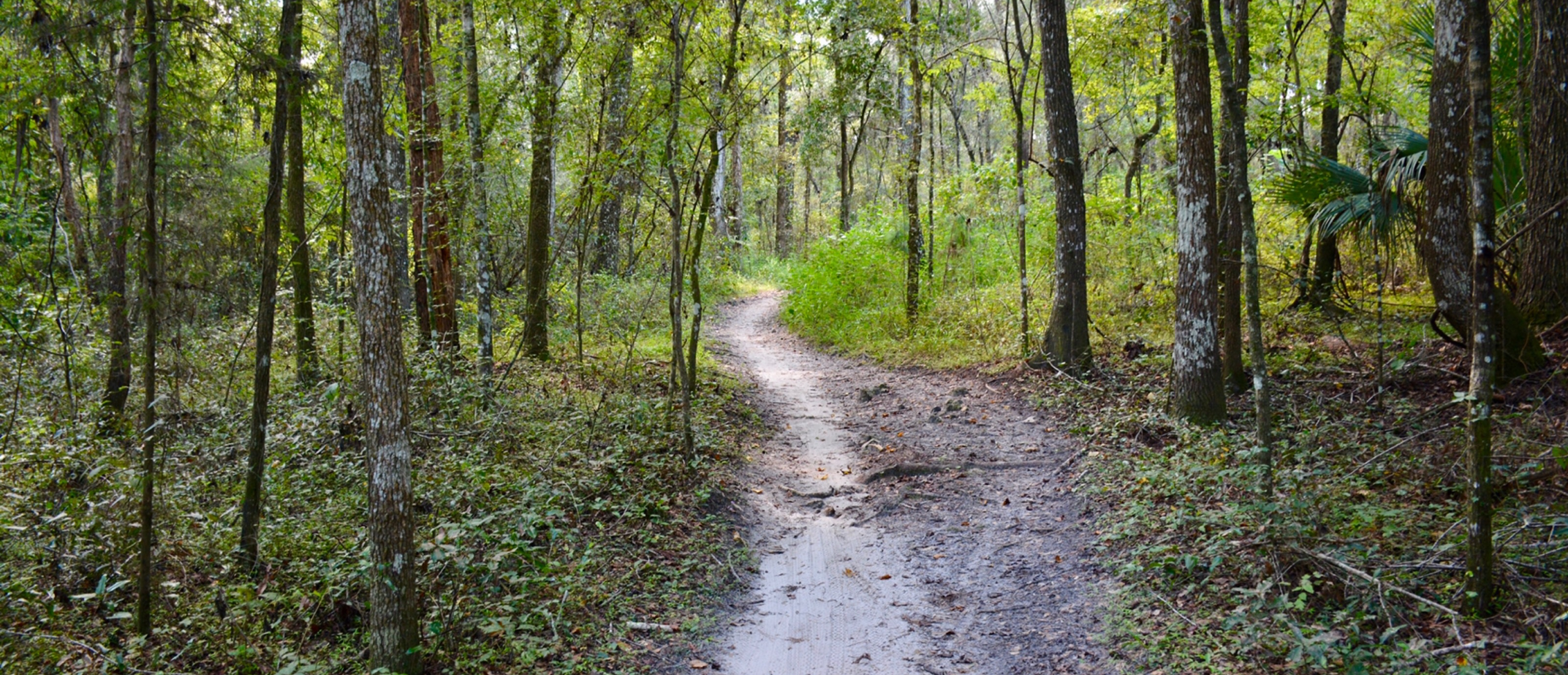 html-ideas/images/trails.jpg