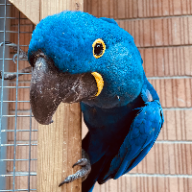 User profile picture